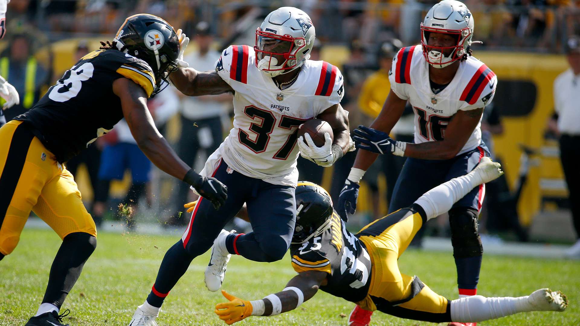 展現了他作 展現了他作