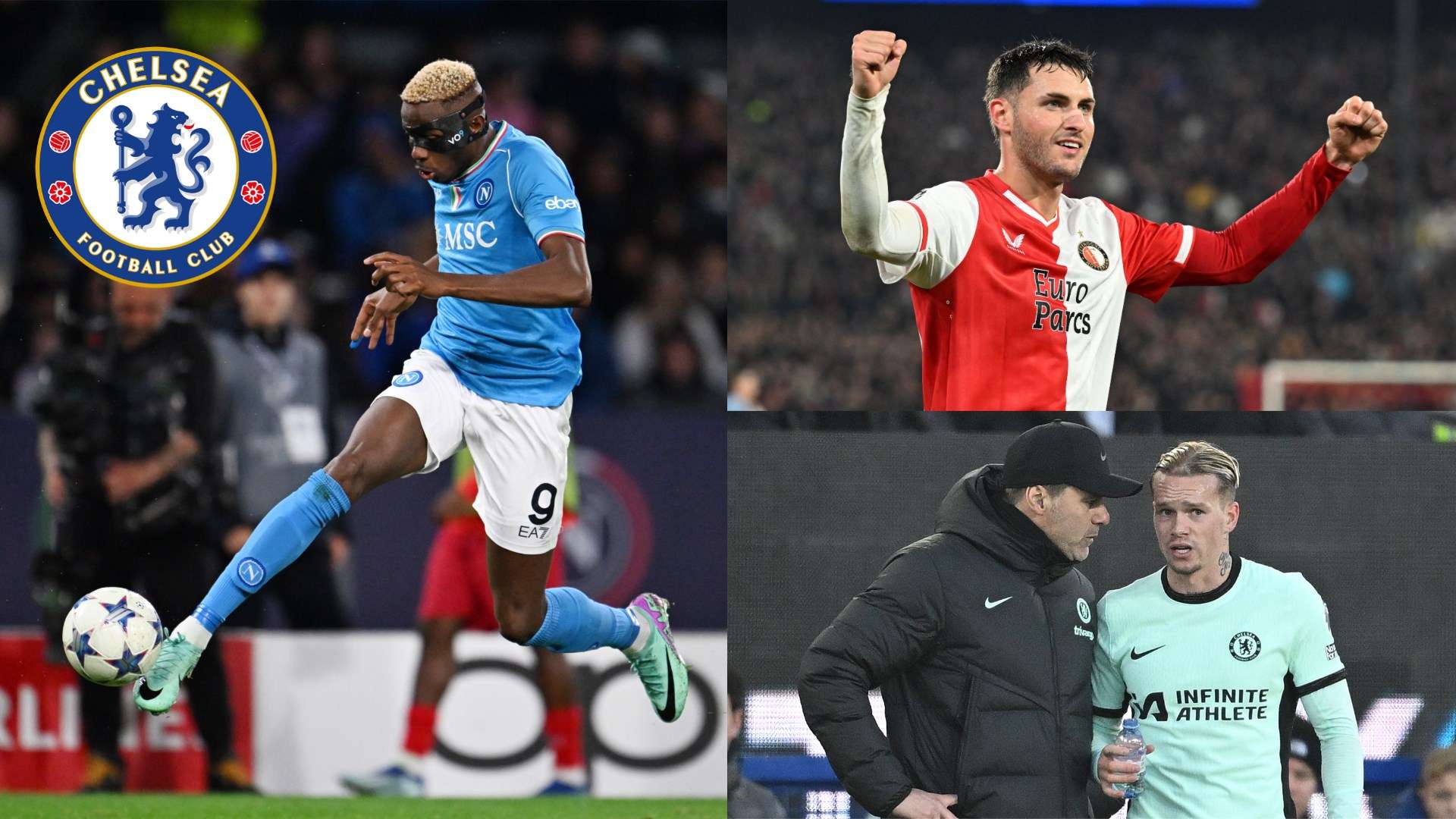 添了一份期 添了一份期