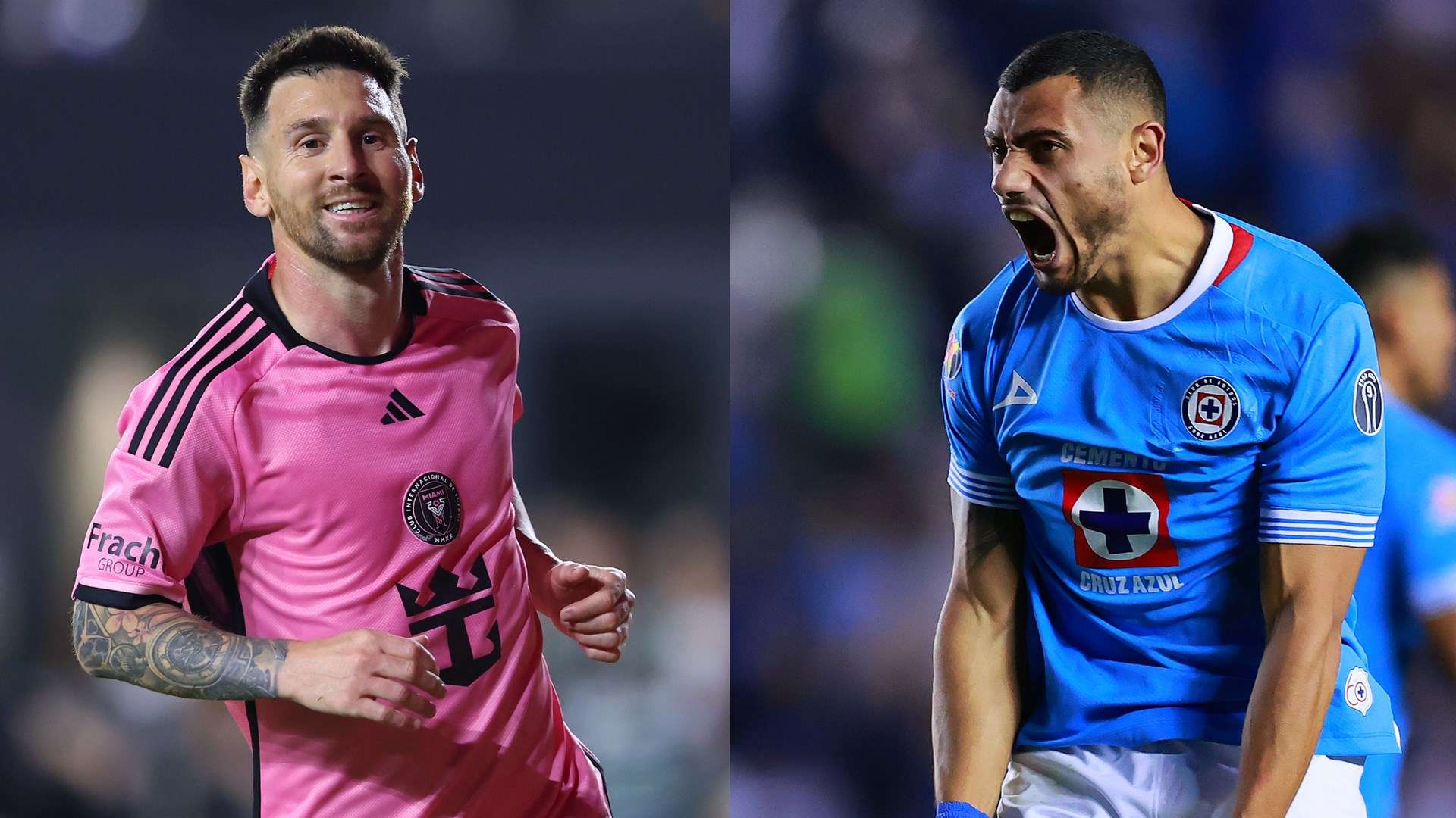 媒体上的粉 媒体上的粉